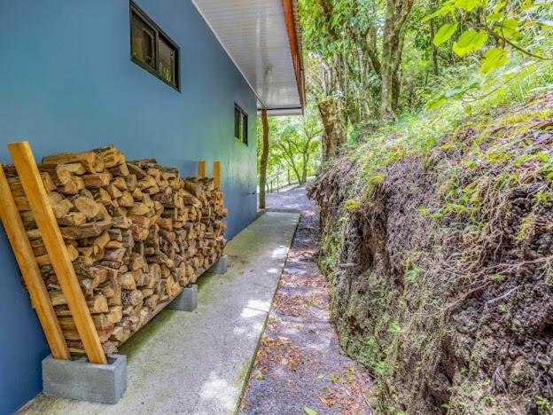 Cantos Del Bosque Monteverde 外观 照片